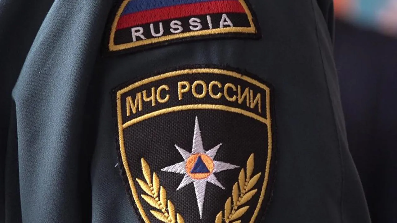 МедиаБанк Подмосковья/Наталия Надточая