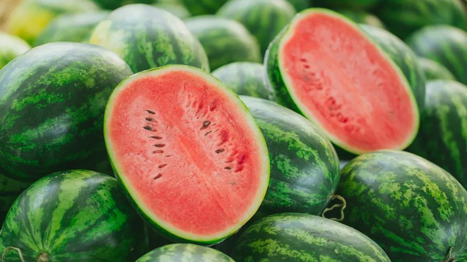 Фото: istockphoto.com