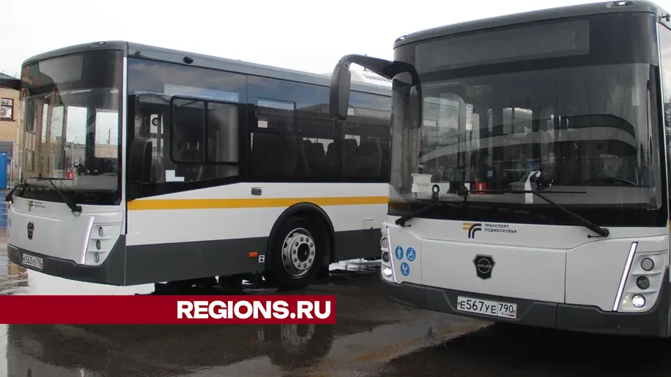 Фото: REGIONS/Василий Тремасов