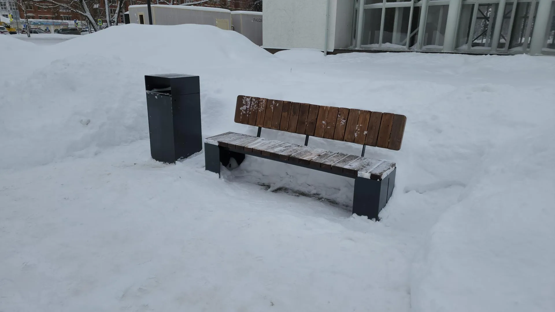 МедиаБанк Подмосковья/Екатерина Федосеева