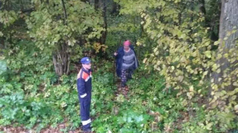Женщину с инвалидностью, заблудившуюся в лесу, спасли в Рузе