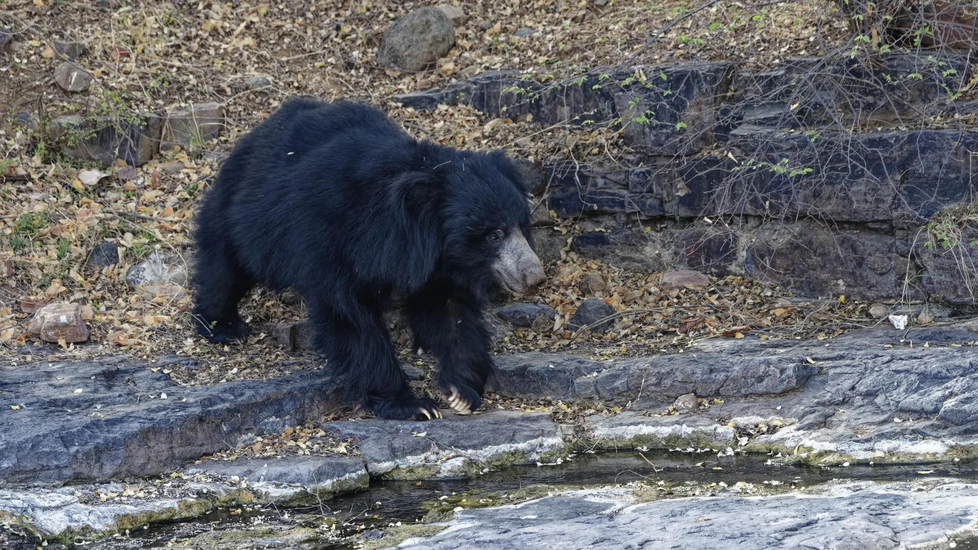 GTW/http://imagebroker.com/#/search/