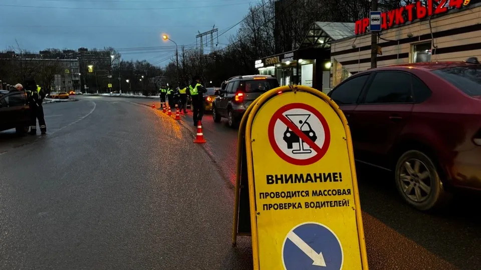 Фото: пресс-служба администрации городского округа Красногорск