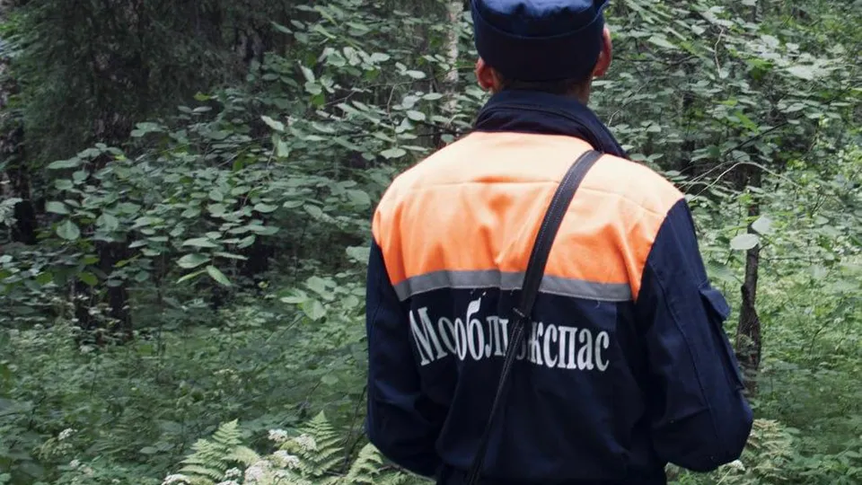 Фото: ГКУ МО «Мособлпожспас»