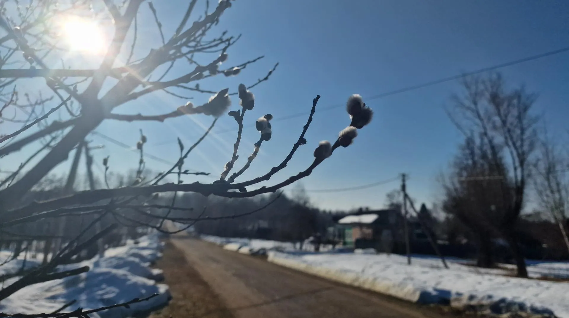 REGIONS/Ольга Шаронова