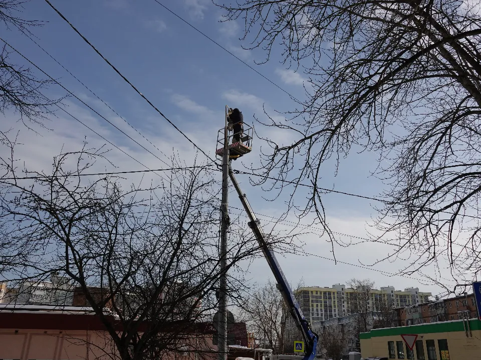 Фото: МедиаБанк Подмосковья/Дарья Леонова