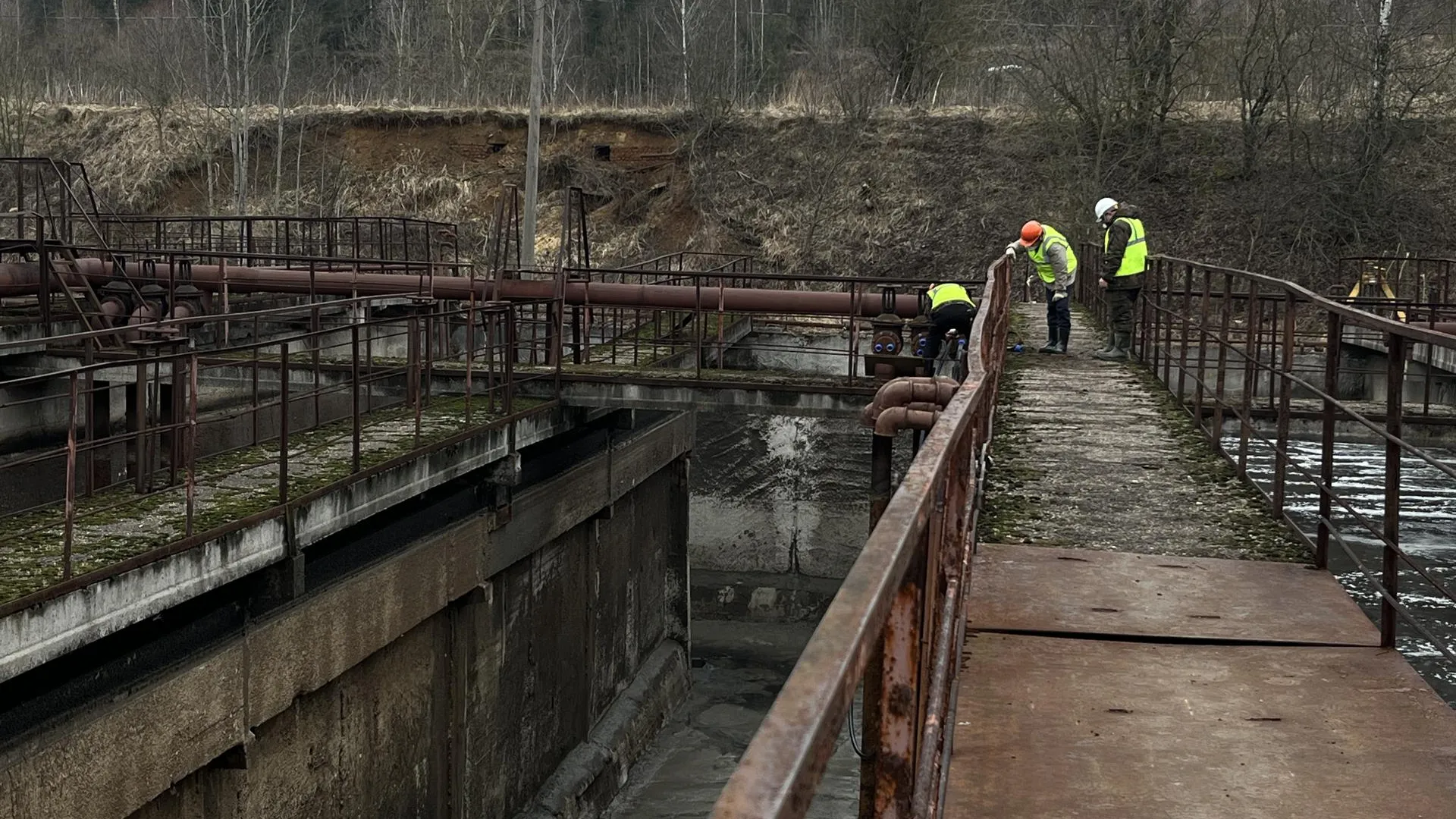 Фото: Анна Тюрюмина