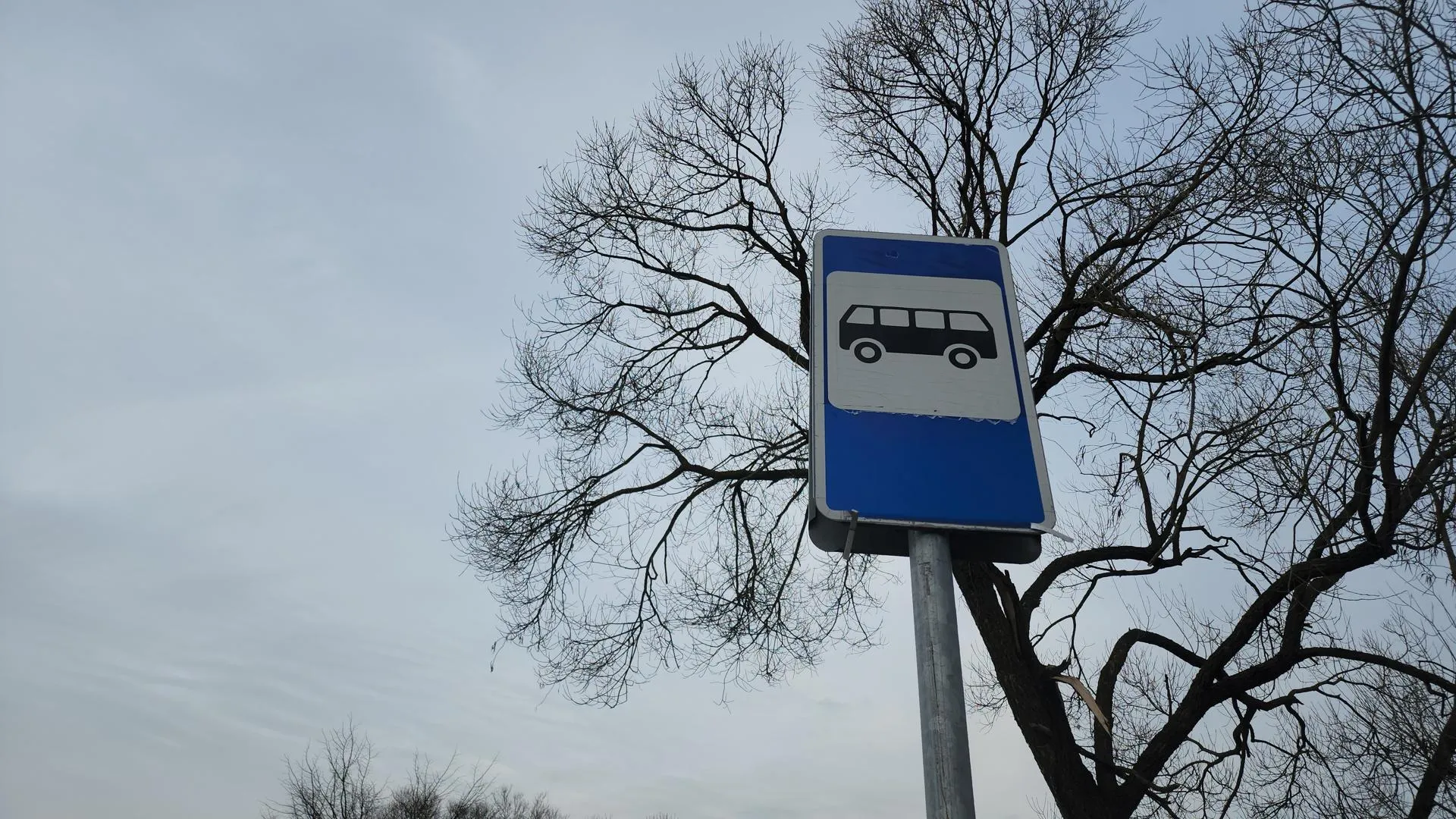 МедиаБанк Подмосковья/Юлия Андросова