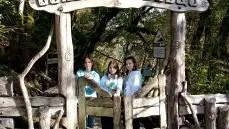 Комитет лесного хозяйства МО