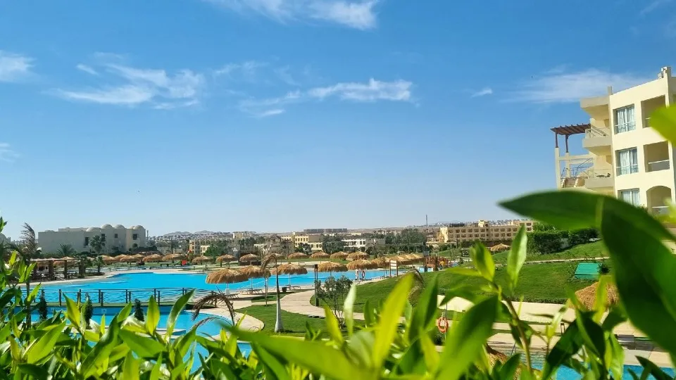 Фото: REGIONS/Ольга Ковалева