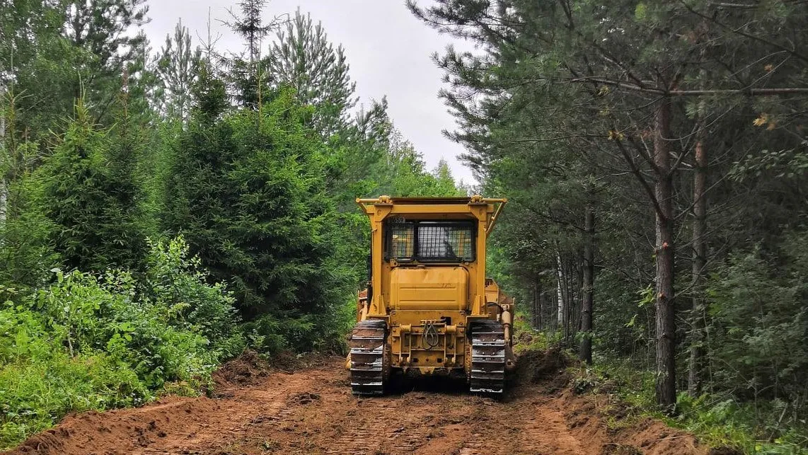 Фото: Комитет лесного хозяйства Московской области