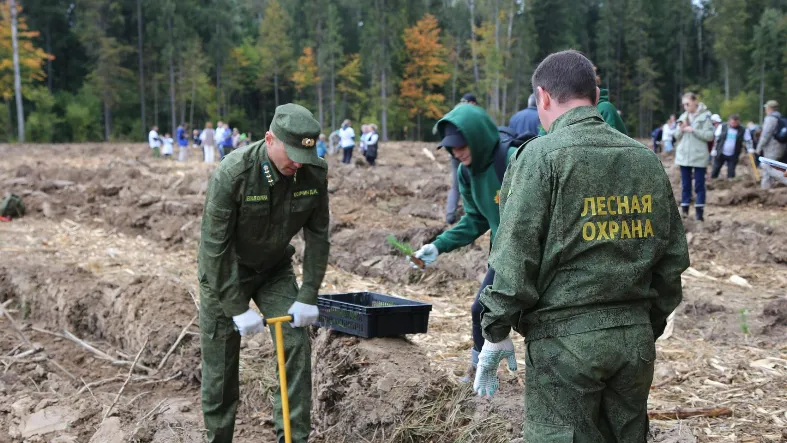 Фото: Комлесхоз МО