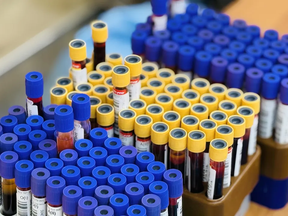 Фото: МедиаБанк Подмосковья/Ольга Стаферова