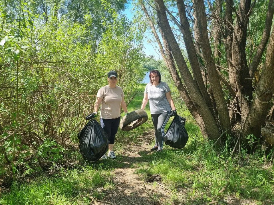 Фото: ГБУСО МО КЦСОиР «Луховицкий»