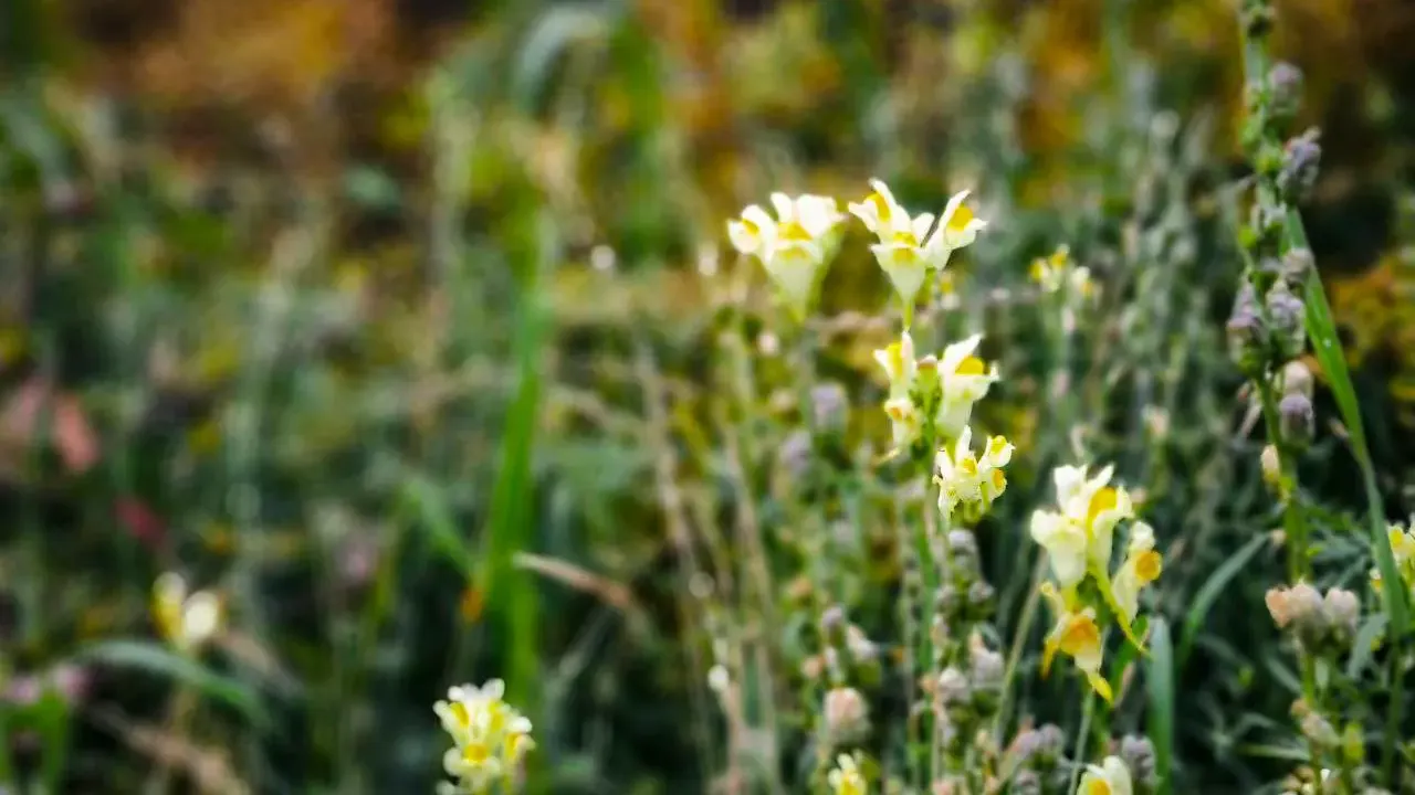 REGIONS/Роман Малышенко
