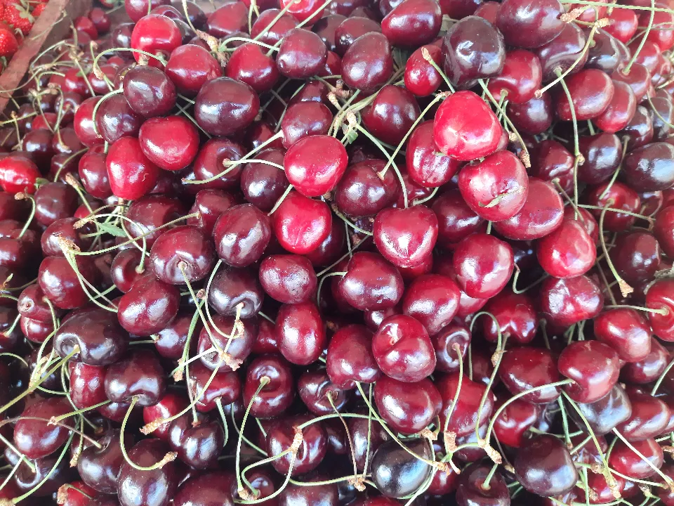 Фото: МедиаБанк Подмосковья/Михаил Мартыненко