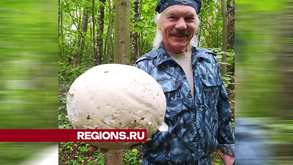 Фото: Игорь Морозов