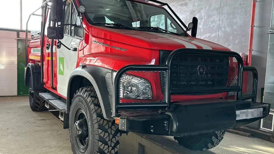 Фото: Комитет лесного хозяйства Московской области