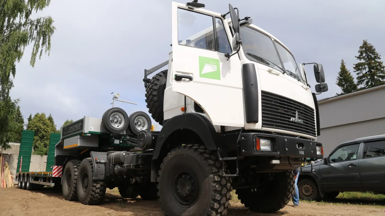 Фото: Комитет лесного хозяйства Московской области