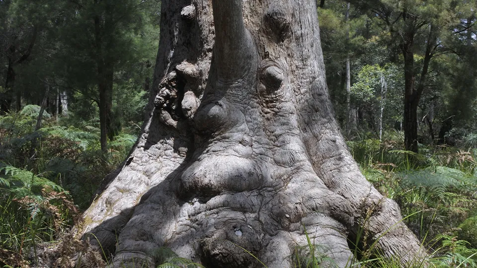 Фото: istockphoto.com