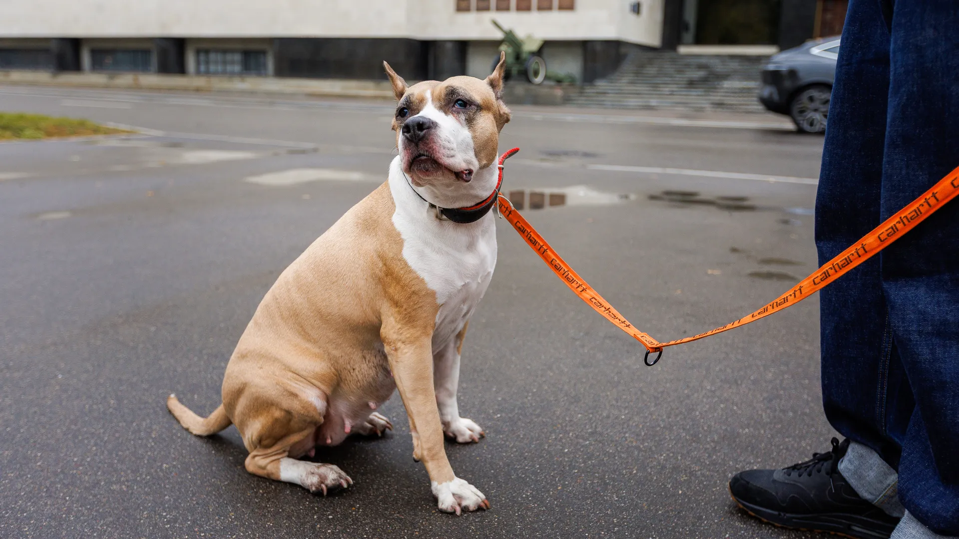 медиасток.рф