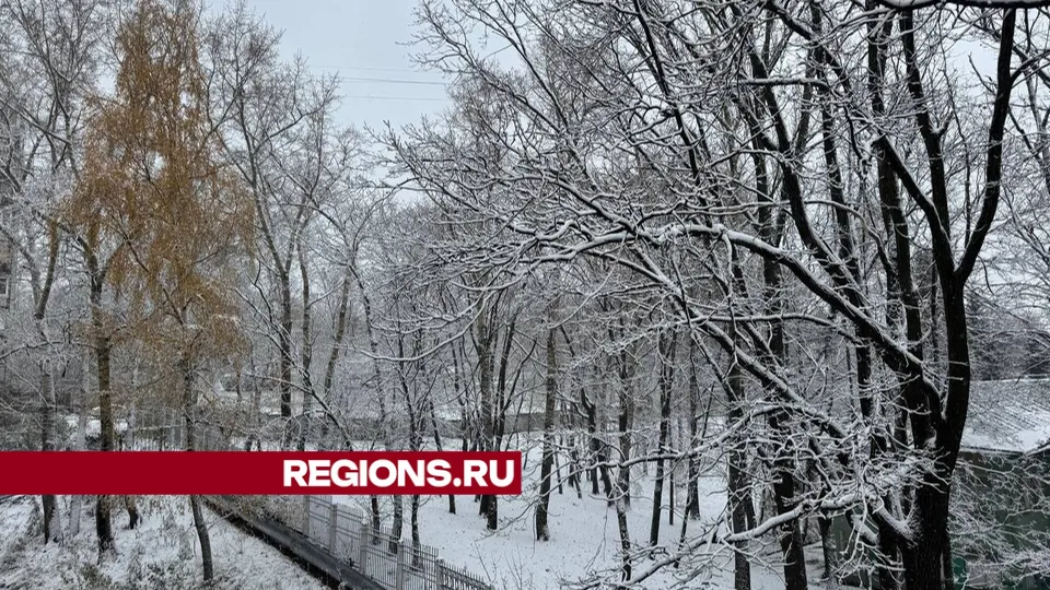 Фото: Михаил Моисеев