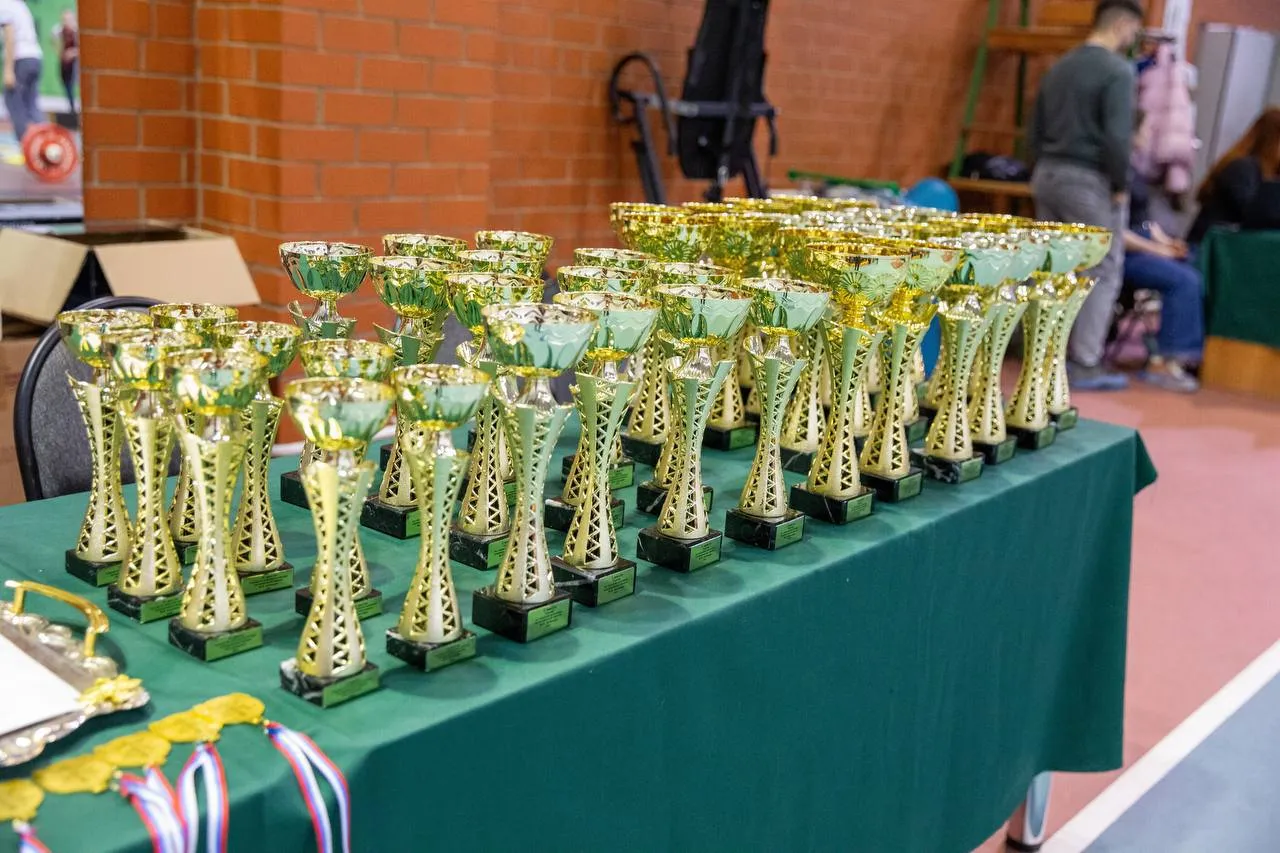 Фото: пресс-служба администрации г.о. Подольск&nbsp;