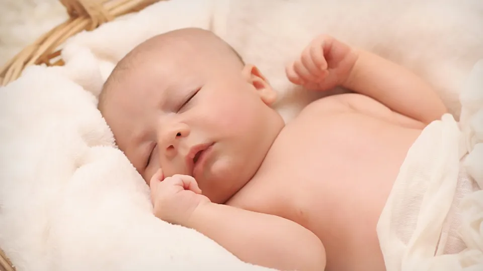 Фото: pxhere.com