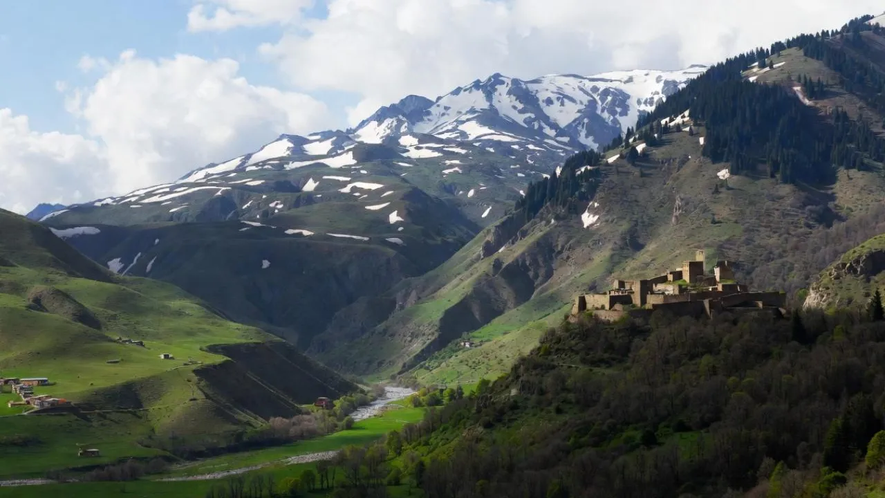 15 лет за «понятия»: в Грузии задержали 72 человека за «воровские разборки»