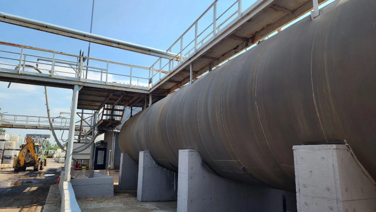 Фото: Светлана Плотникова