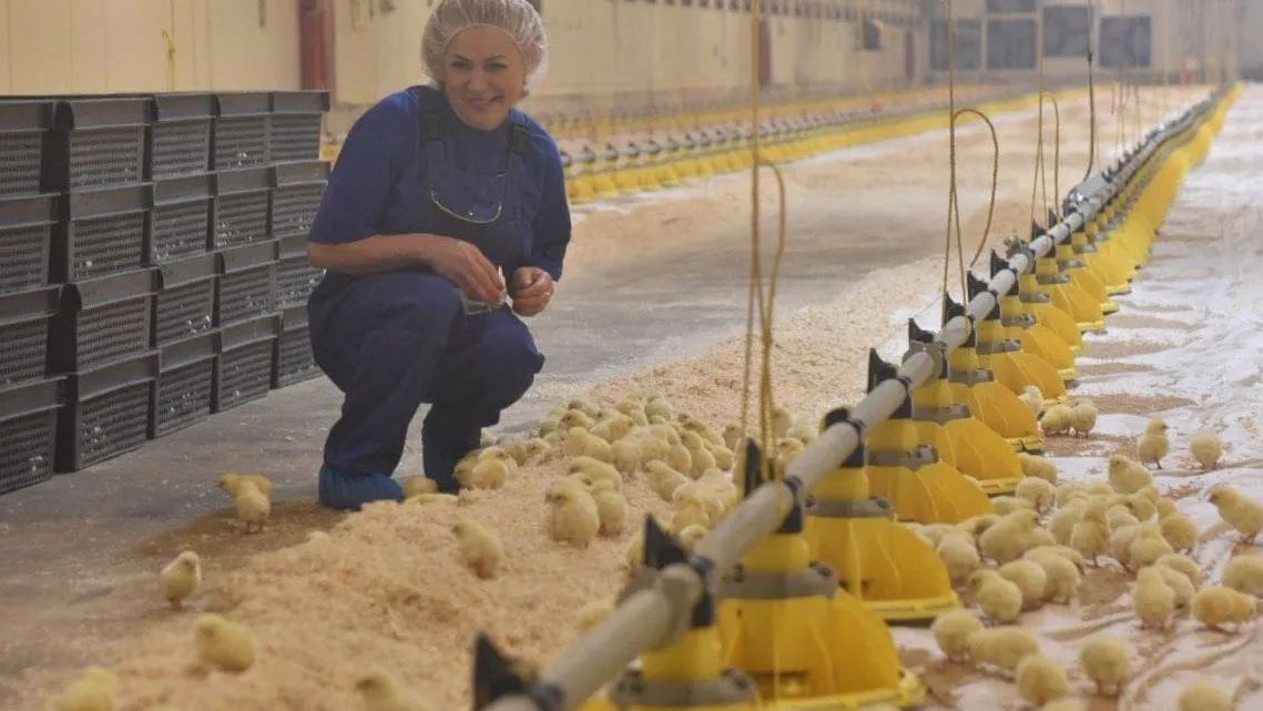 Фото: пресс-служба администрации Наро-Фоминского г.о.