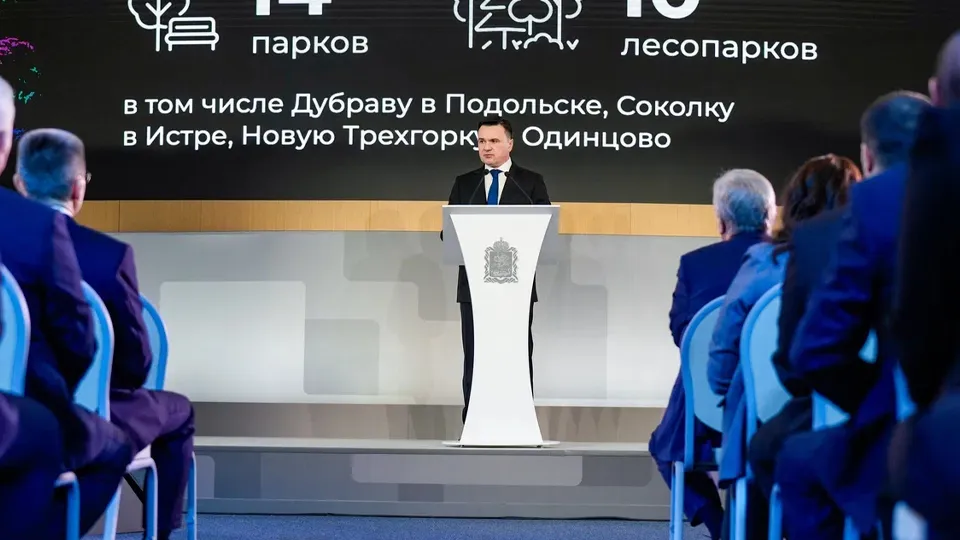 Фото: пресс-служба губернатора и правительства Московской области/Александра Степанова