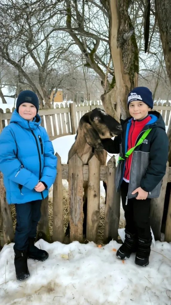 Фото: vk.com/Администрация г.о. Зарайск