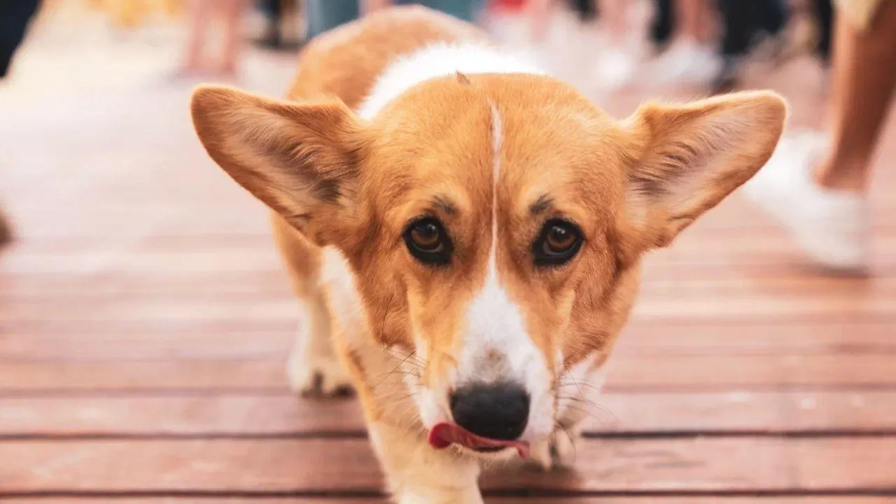 REGIONS/Наталия Надточая