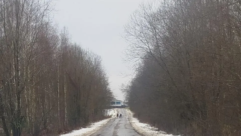 Фото: пресс-служба администрации м.о. Лотошино