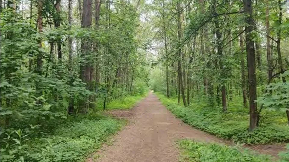 Фото: Главное управление культурного наследия МО