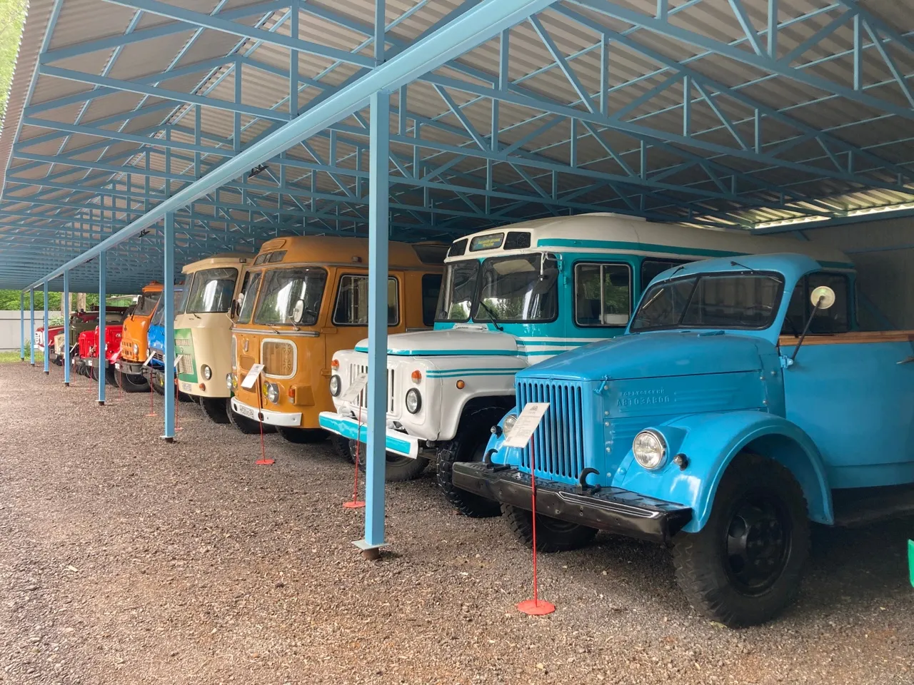 Фото: МедиаБанк Подмосковья/Валентина Максимова&nbsp;