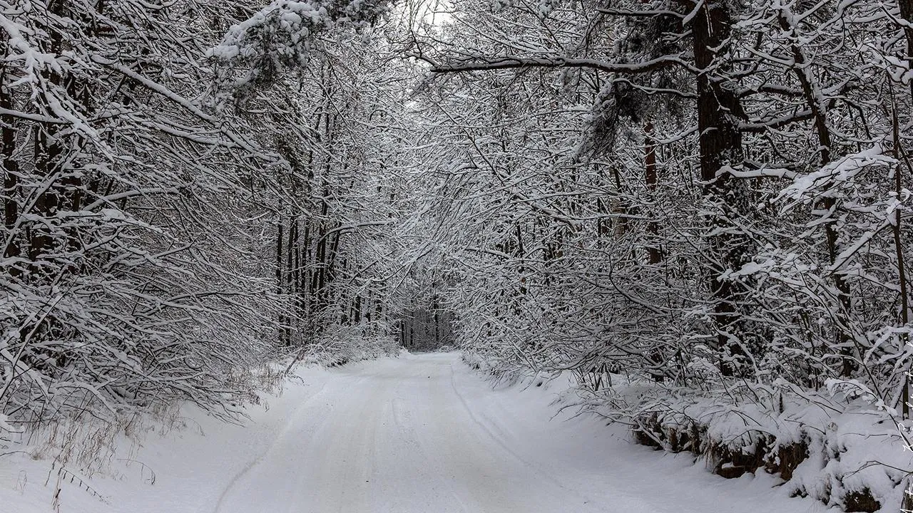 REGIONS/Антон Кондратюк