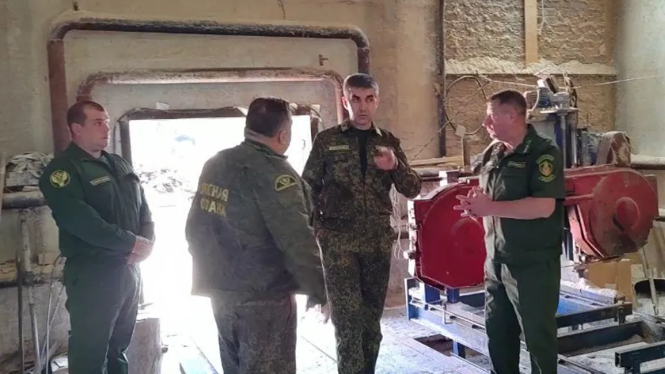 Фото: Комитет лесного хозяйства Московской области