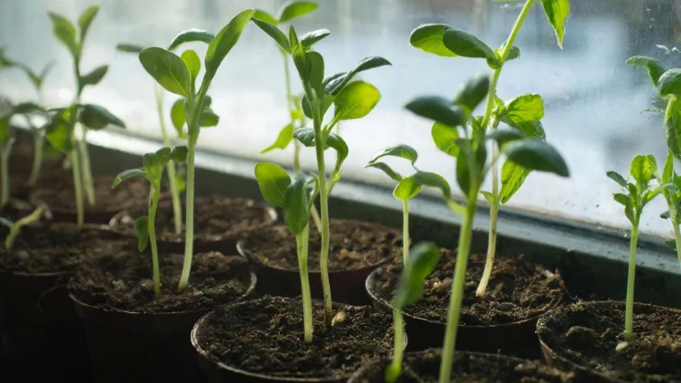 Фото: REGIONS/Сгенерировано нейросетью