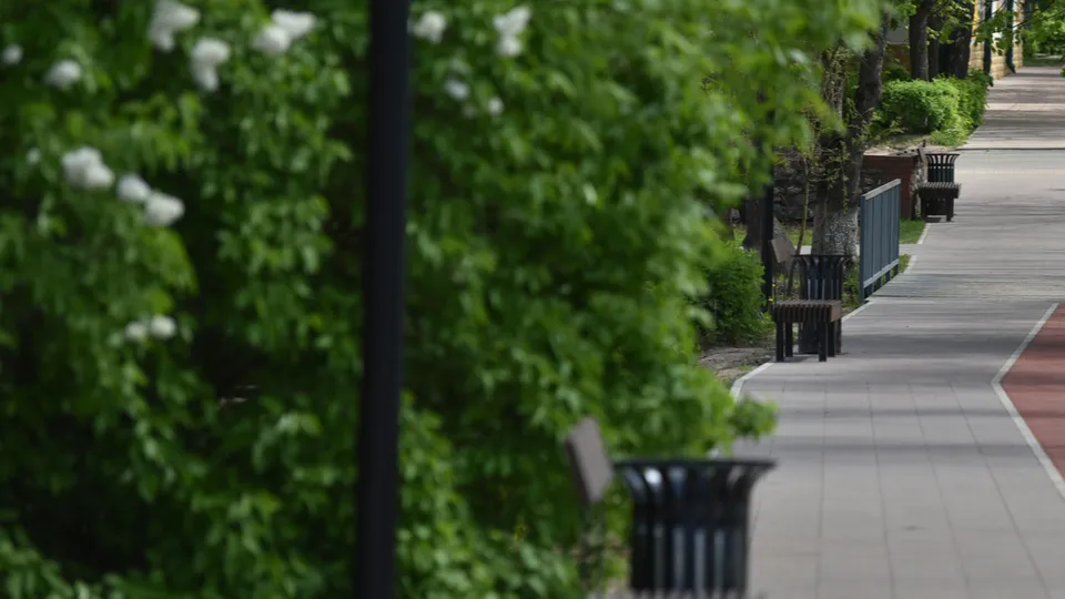 Фото: медиасток.рф