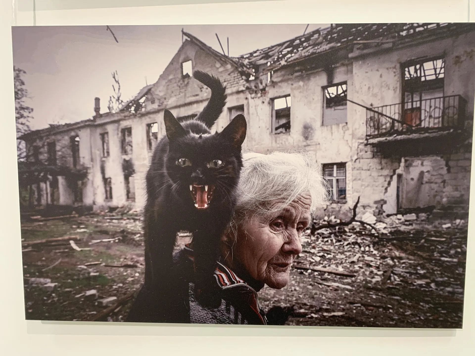 Фото: Ирина Мальцева