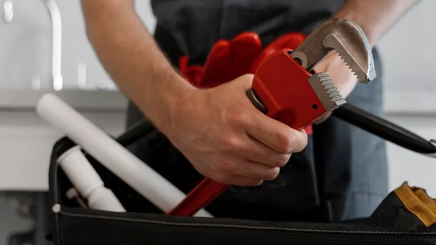 Фото: freepik.com