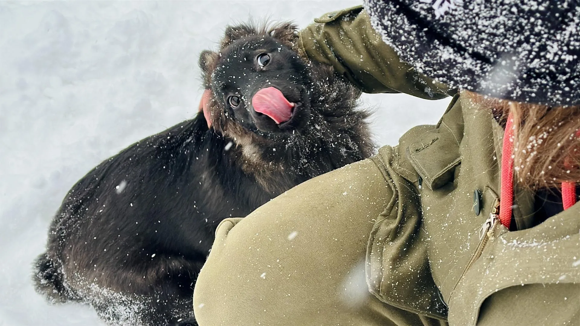 Кристина Тришина