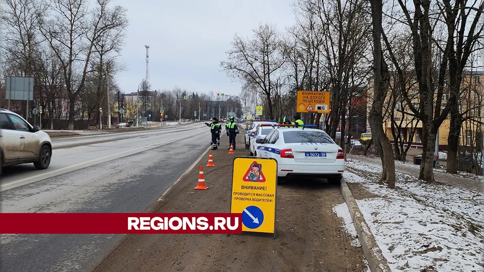 Фото: Андрей Алекин