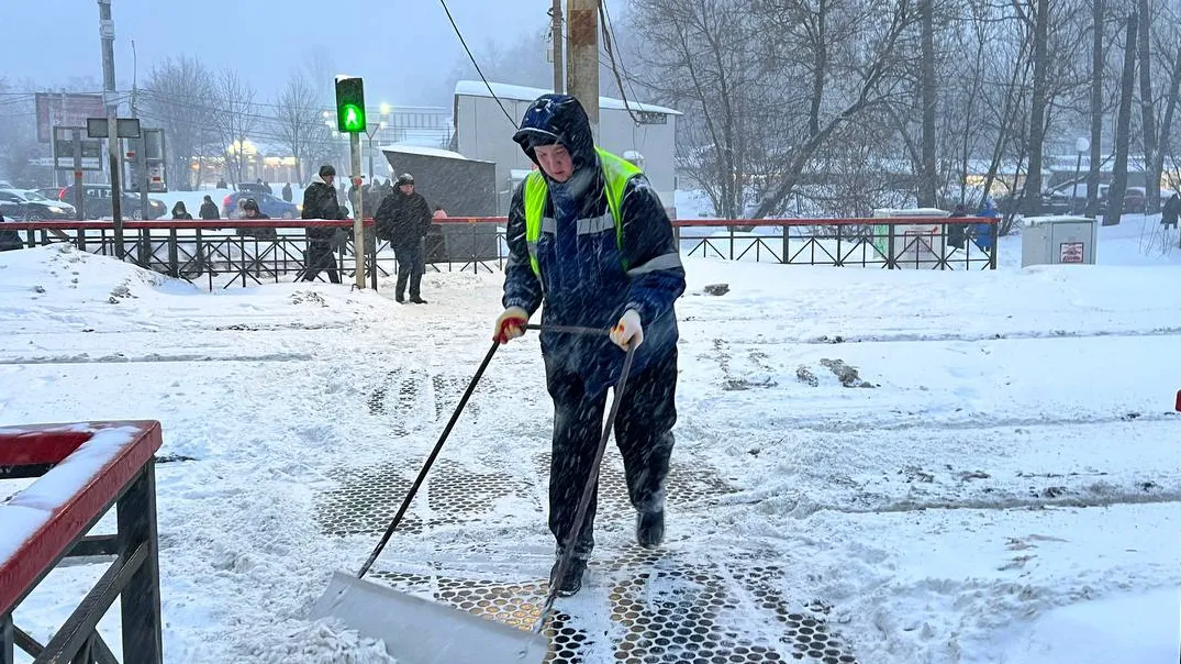фото: Елена Фурман