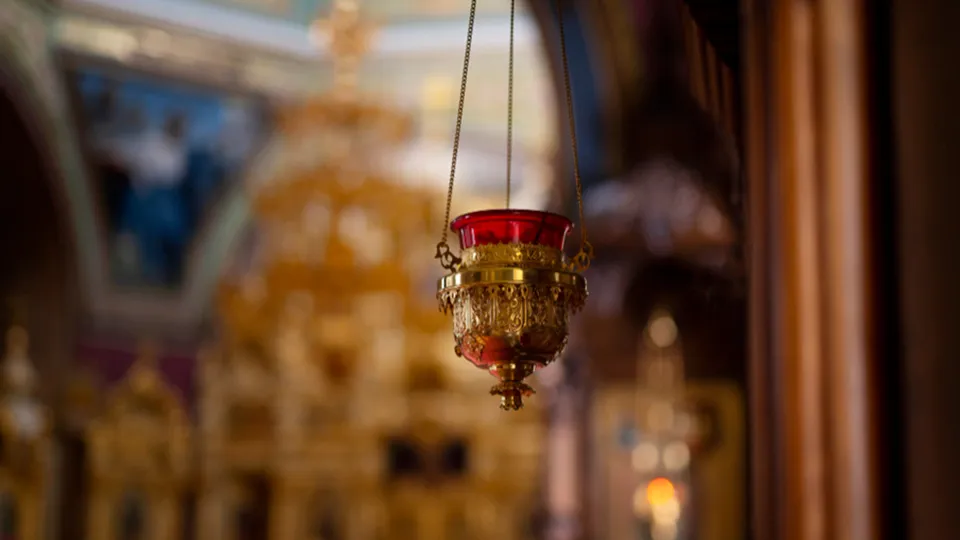 Фото: freepik.com