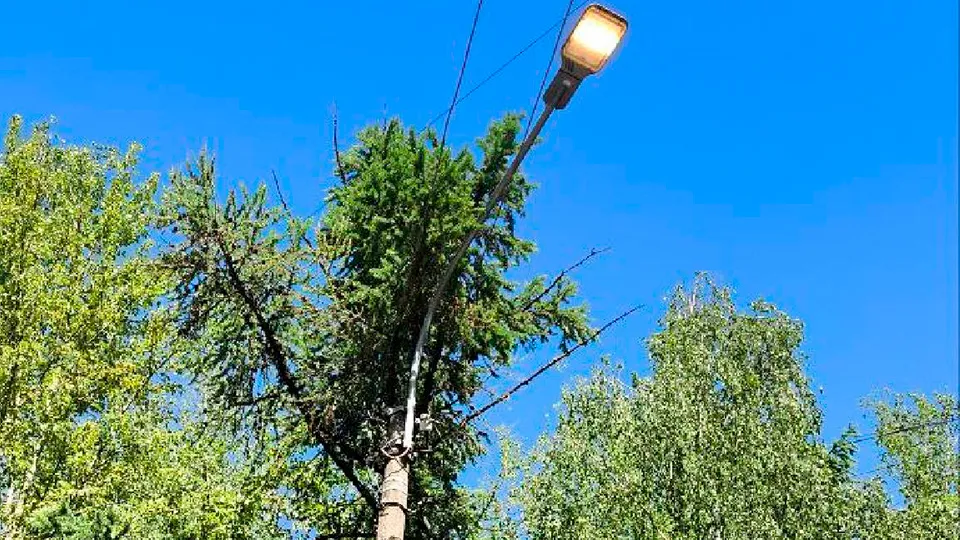 Фото: пресс-служба администрации г.о. Солнечногорск