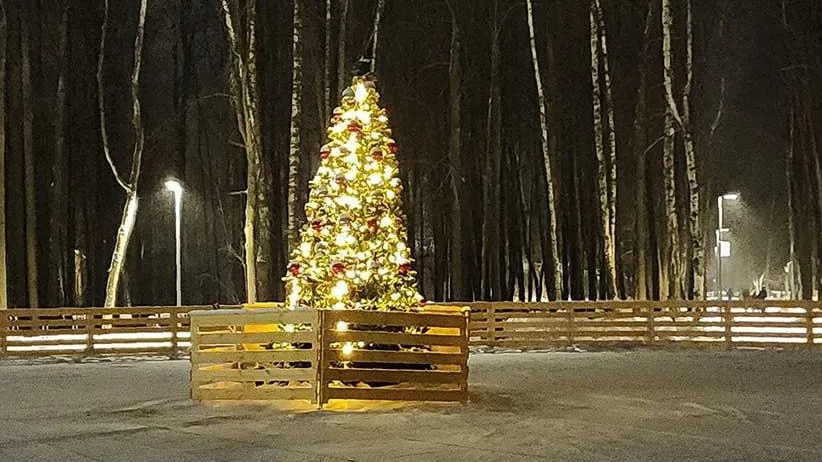 Фото: Нина Басистая