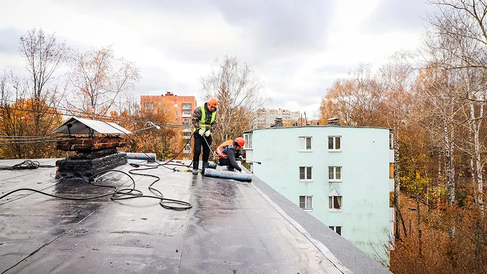 Фото: МедиаБанк Подмосковья/Данила Кирьянов